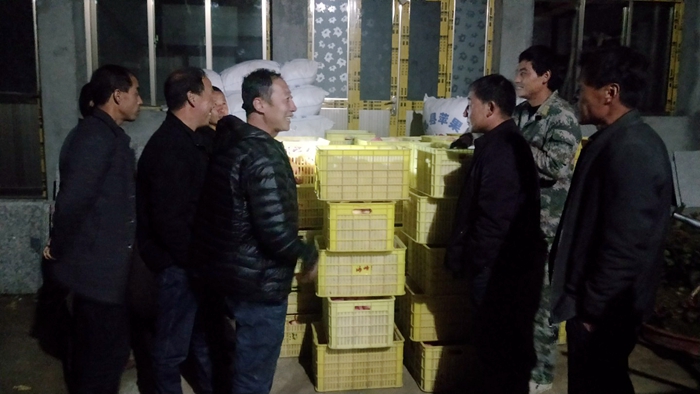 村干部检查即将装箱的苹果 - 副本.jpg